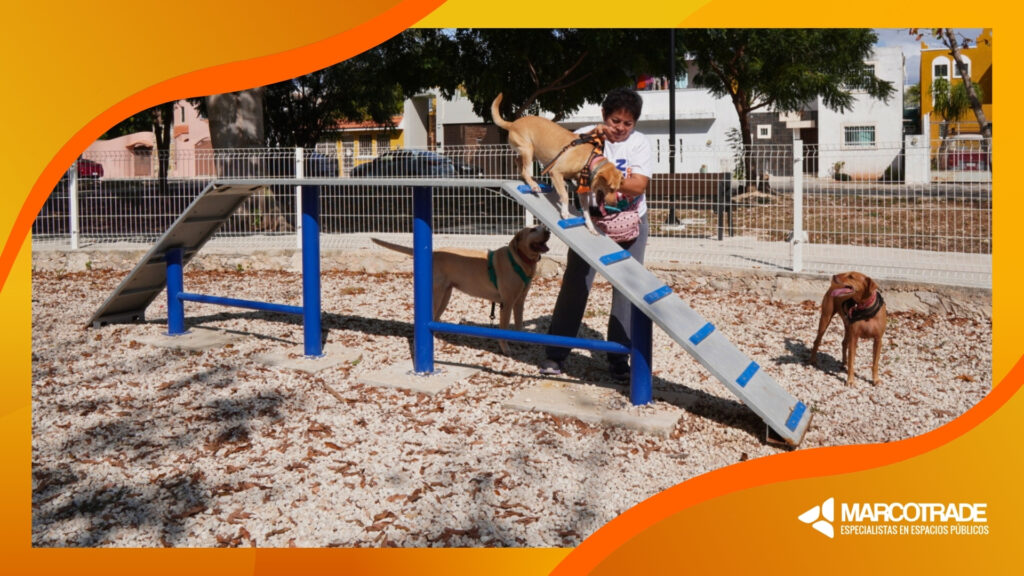 Diseña tu pet park: Factores clave y equipos